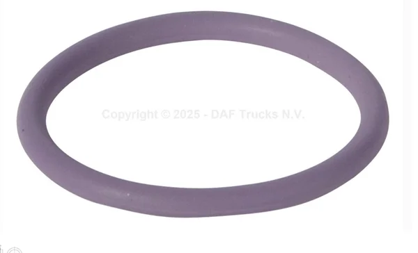 DAF 1638270 Injector Lower Sealing O-Ring (injector sealing ring / lower)